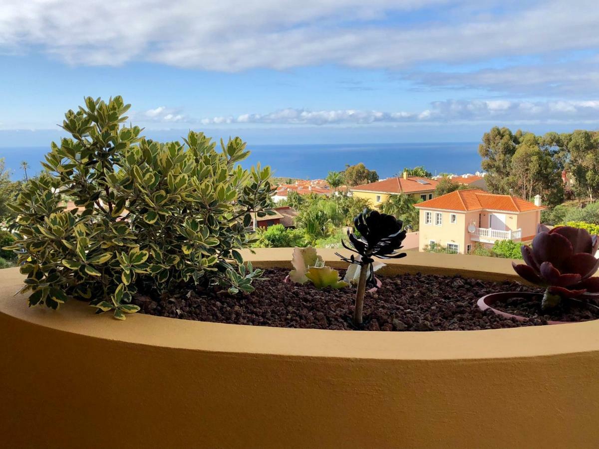 Апартаменты Terraza Vista Oceano La Quinta Санта-Урсула Экстерьер фото