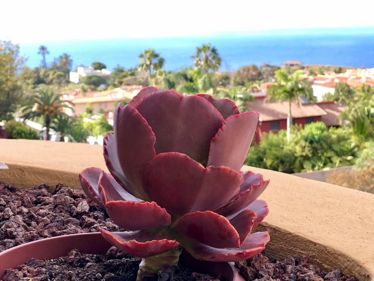 Апартаменты Terraza Vista Oceano La Quinta Санта-Урсула Экстерьер фото
