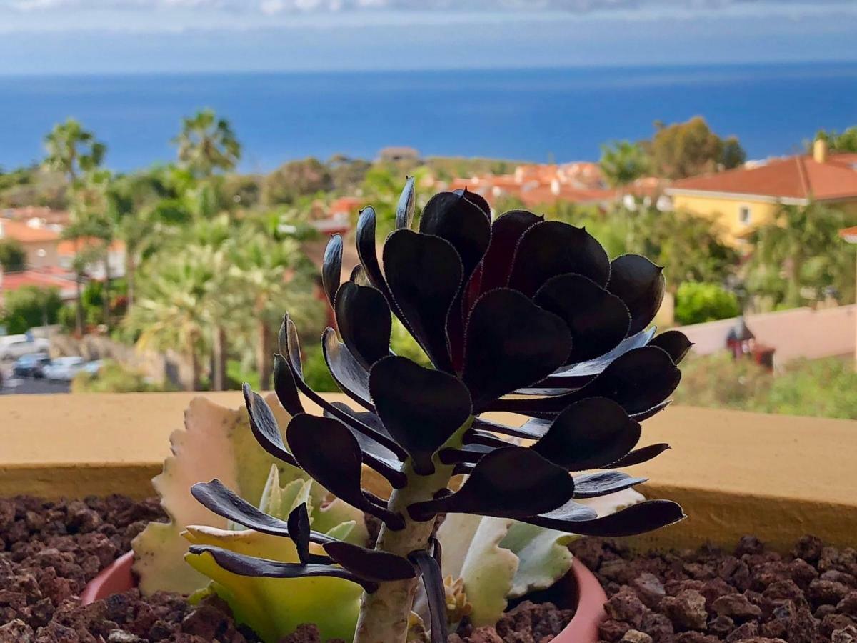 Апартаменты Terraza Vista Oceano La Quinta Санта-Урсула Экстерьер фото